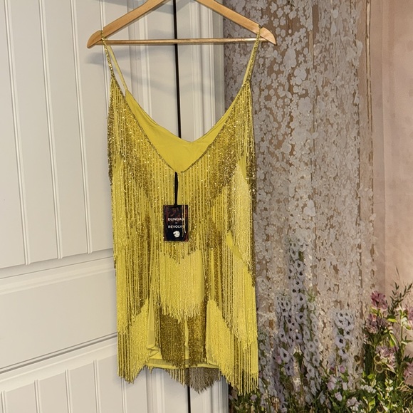 DUNDAS x REVOLVE Verushka Embellished Mini Dress in Butter Yellow - Picture 12 of 13